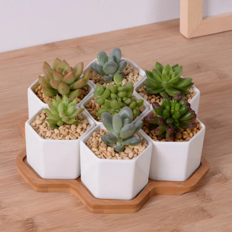 Juego de macetas hexagonales d - Desk Setup White reseña y precio